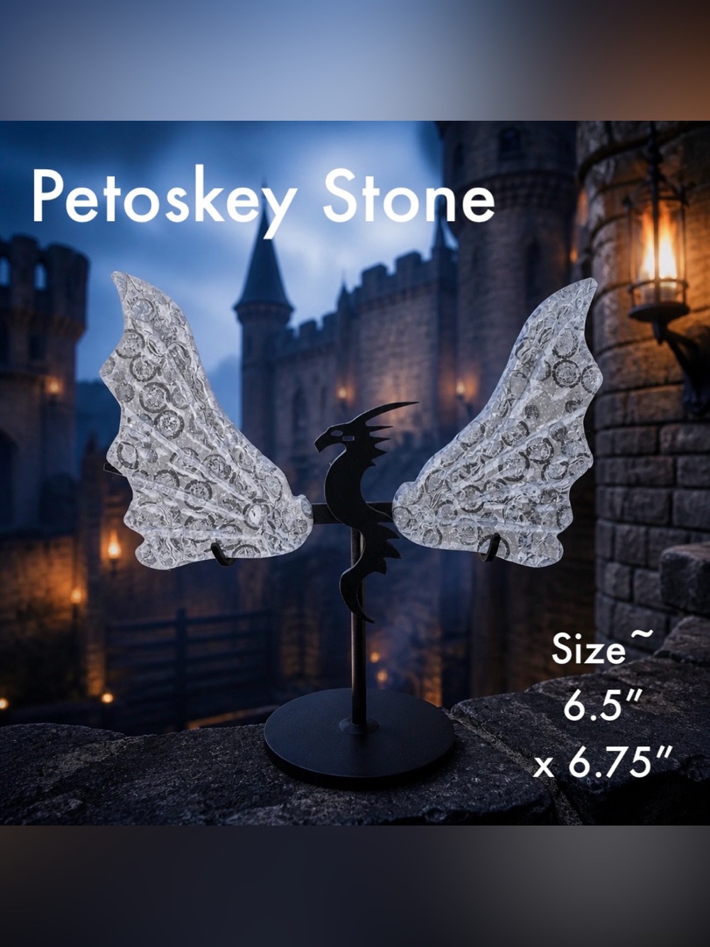 Petoskey Stone - Crystal - Dragon Wings Carving with Stand